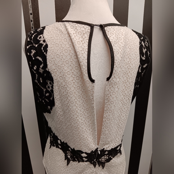 Antonio Milani lace top - Picture 8 of 8